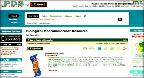 Protein Data Bank: Visualizzazione di Proteine e Acidi Nucleici per Editor, Scienziati e Curiosi