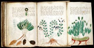 IL MANOSCRITTO VOYNICH quando la realtà supera la fantasia   ( 1 parte)