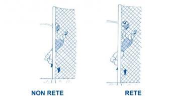 Sorpresa: il regolamento del calcio non spiega quando il pallone è in rete