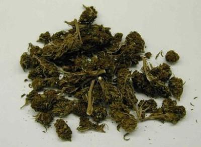 marijuana-siracusa