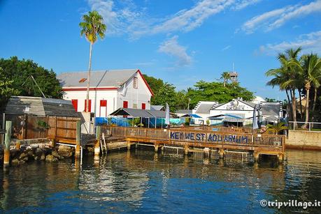 Key West, i Caraibi d’America