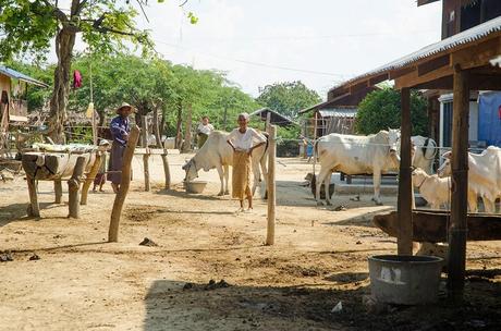 On the road to Mandalay