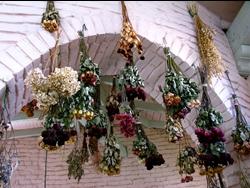 Metodo essiccazione verticale