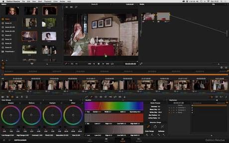 davinci-resolve-raw