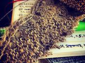 Princess Perpetual Procrastination