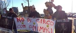 circo assago