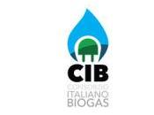 Fiera Biogas Italy febbraio 2015 Rimini