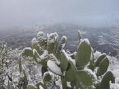 MeteoSicilia: arrivo pioggia, temperature calo neve bassa quota