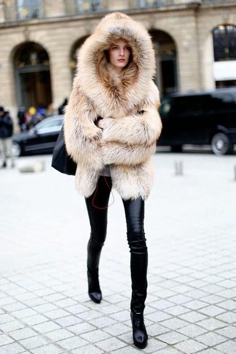 Trend Alert: Furry!