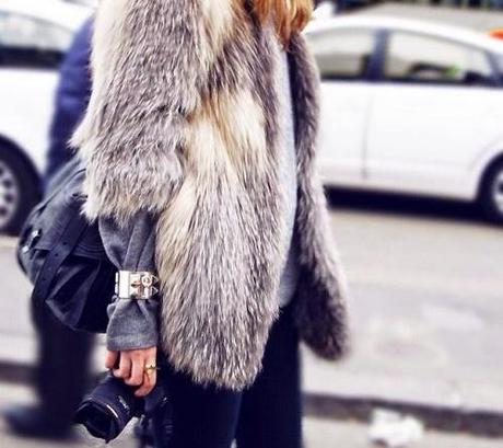 Trend Alert: Furry!