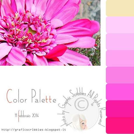 Palette Colori by Grafic Scribbles