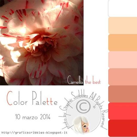 Palette Colori by Grafic Scribbles