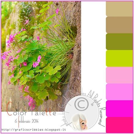 Palette Colori by Grafic Scribbles