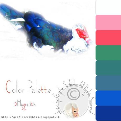 Palette Colori by Grafic Scribbles