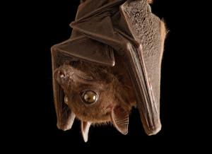 181933741-17c27db8-a054-4260-bf07-7d6ebd8c46a2