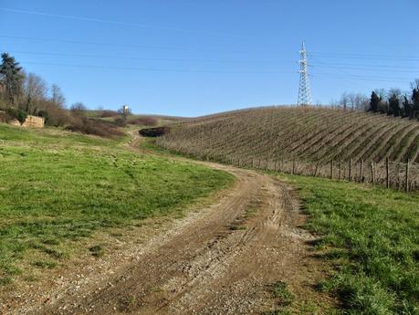 La Collina di San Colombano