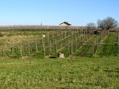 La Collina di San Colombano