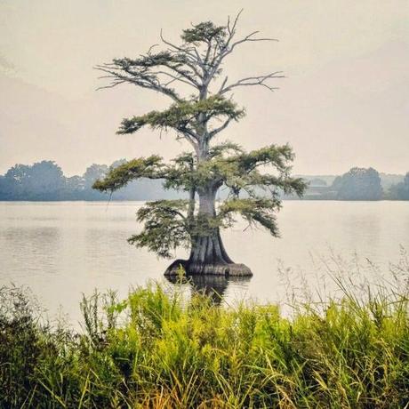 L'incontro con Sua Maestà: il Fiume Mississippi