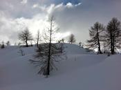 Pizzetto