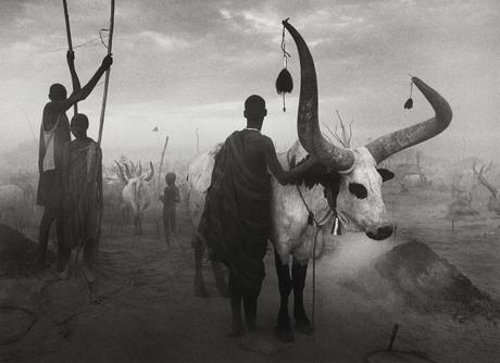 04-Sebastião-Salgado