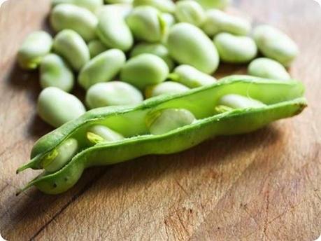 Pesto di fave, vongole e pomodorini