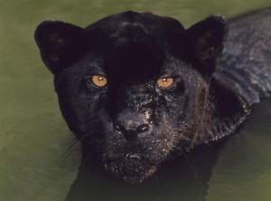 165625016-89fd785b-a3a8-423e-a4e0-2e49b054db52