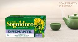 Tisana drenante