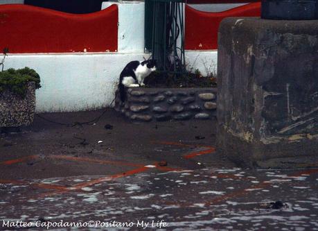 OGGI a POSITANO: furiosa mareggiata