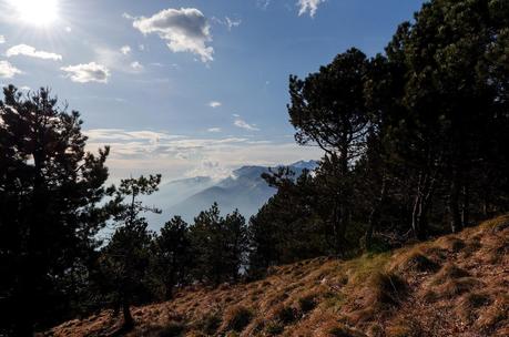 MONTE JOUF: da Maniago per Forcella Crous