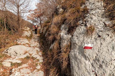 MONTE JOUF: da Maniago per Forcella Crous