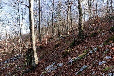 MONTE JOUF: da Maniago per Forcella Crous