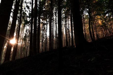 MONTE JOUF: da Maniago per Forcella Crous