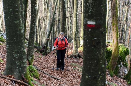 MONTE JOUF: da Maniago per Forcella Crous