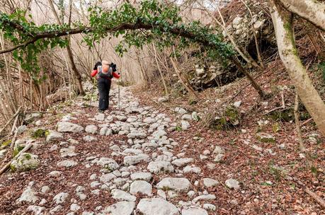 MONTE JOUF: da Maniago per Forcella Crous