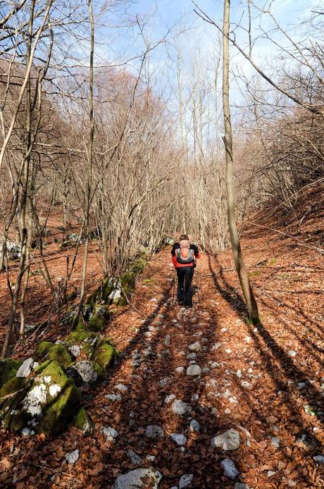 MONTE JOUF: da Maniago per Forcella Crous