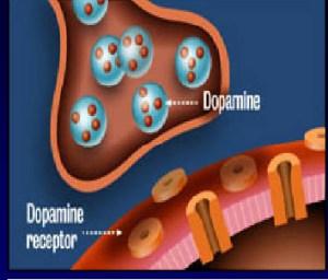 recettori dopamina