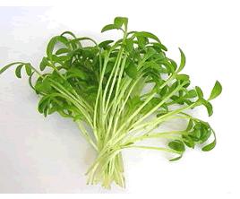 Le segrete qualità del crescione: uno scrigno di benefici per la salute