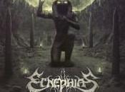 Ecnephias