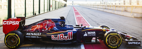 toro_rosso_3