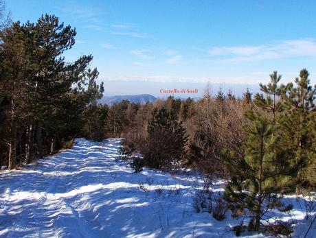 Sul Giarolo (AL) con la neve