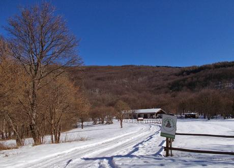 Sul Giarolo (AL) con la neve