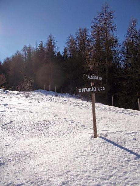 Sul Giarolo (AL) con la neve