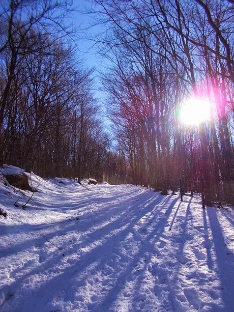 Sul Giarolo (AL) con la neve