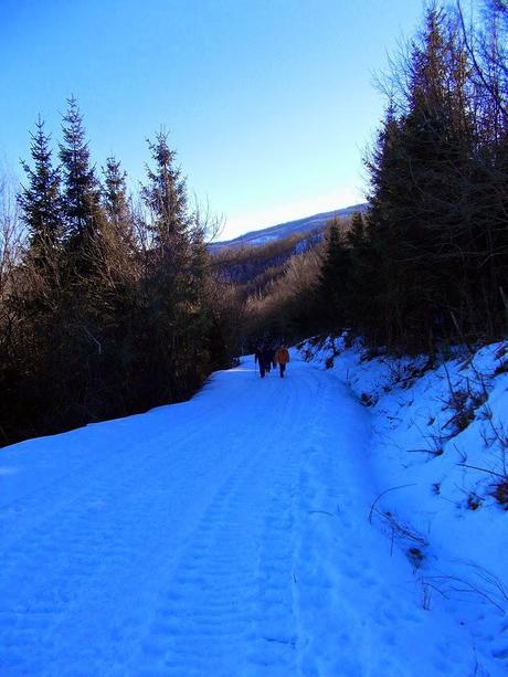 Sul Giarolo (AL) con la neve