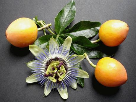 La Passiflora - Efficace per la mente e il corpo