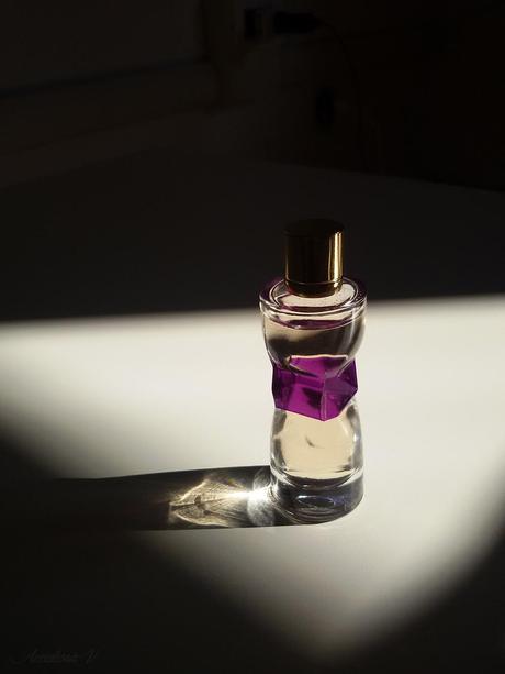 Yves Saint Laurent Manifesto