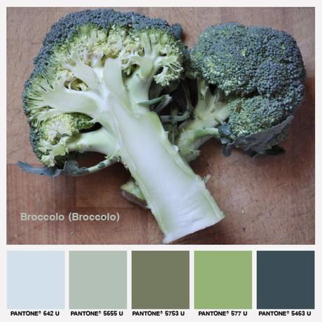 lacaccavella, foodcolors, colors, pantone, green, verde, broccolo