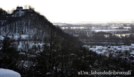 Candida come la neve (o quasi) la vellutata di finocchi e radice di prezzemolo