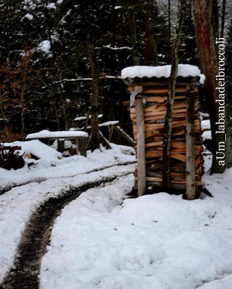 Candida come la neve (o quasi) la vellutata di finocchi e radice di prezzemolo