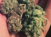 Augusta: 28enne trovato grammi marijuana finisce carcere